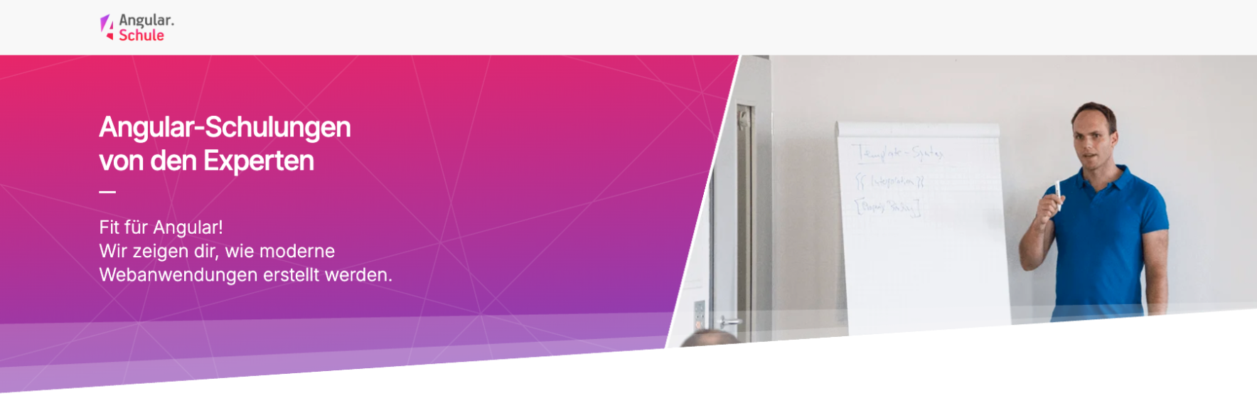 Angular.Schule: Workshops von den Buchautoren