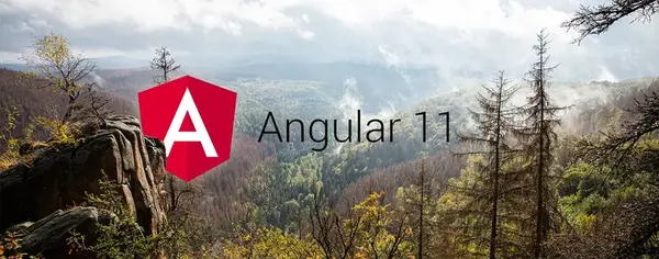 Angular 11 ist da!