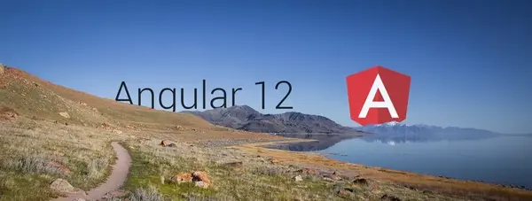Angular 12 ist da!