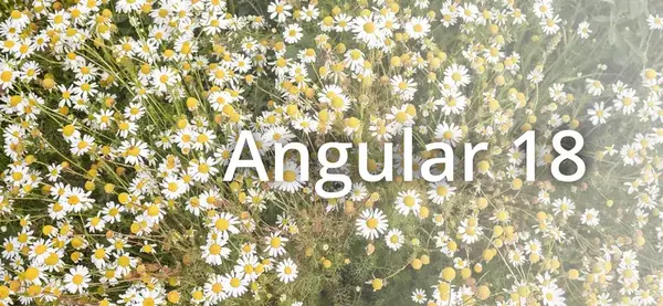 Angular 18 ist da: Signals, Signals, Signals!